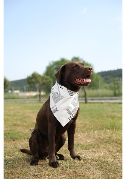 Cool Bandana