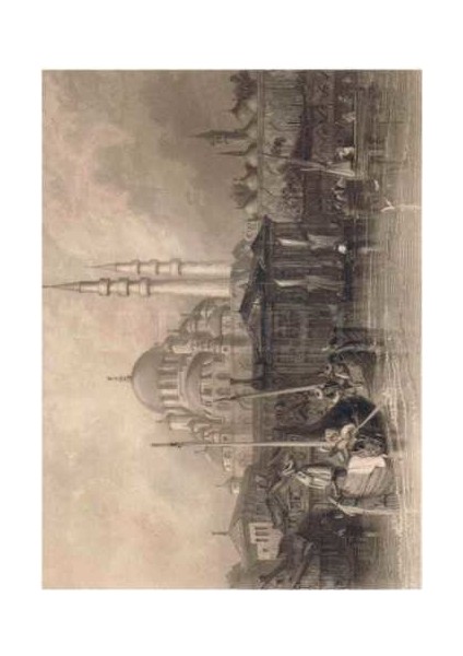 Extra Büyük Kolay Transfer 1613V Açık Zemin 35 x 50 cm