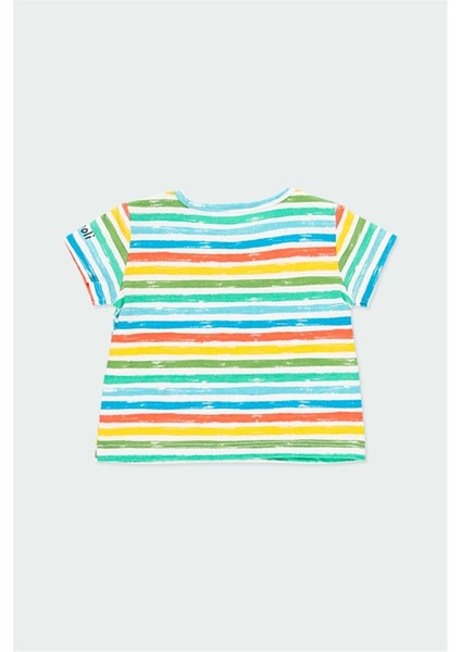 Çizgili Tişört fiyatları
