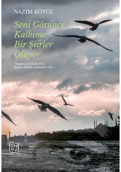 Seni Görünce Kalbime Bir Şiirler Oluyor - Nazım Köyce