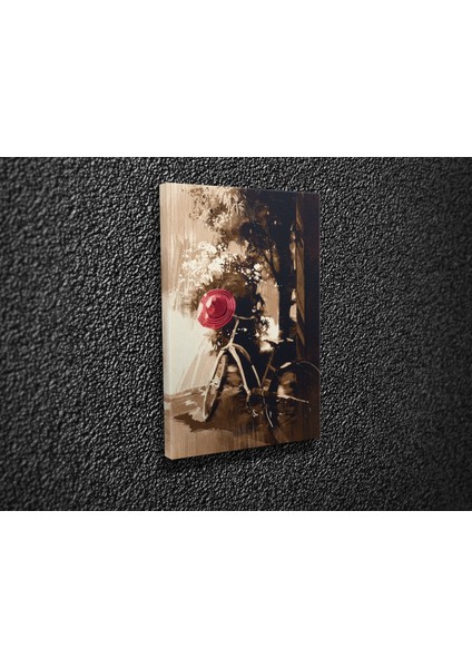 Vintage Bisiklet Kanvas Tablo