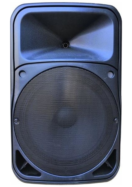 Gold Audio 15" Taşınabilir Amfi - El+Yaka -Pro 5415 Ey