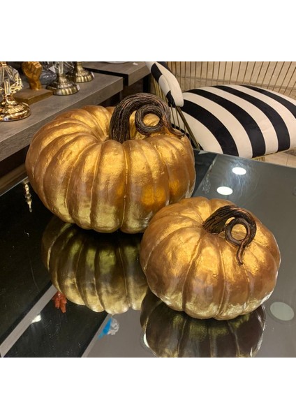 Ikili Bal Kabağı-Mo108-1