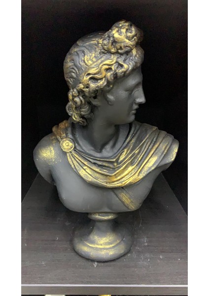 Apollon-Hk102-5