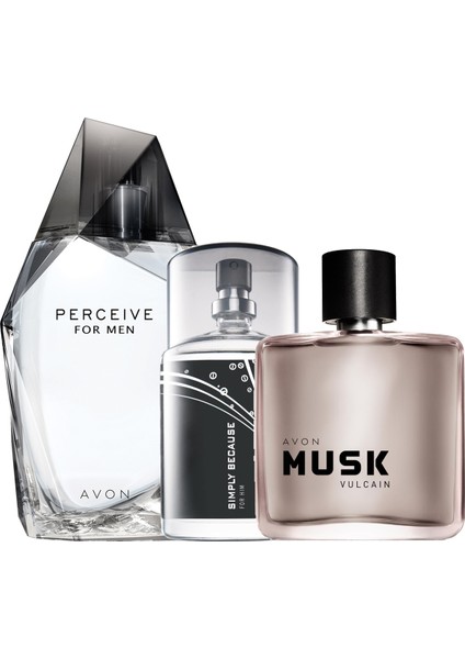 Perceive Simply Because ve Musk Vulcain Erkek Parfüm Paketi