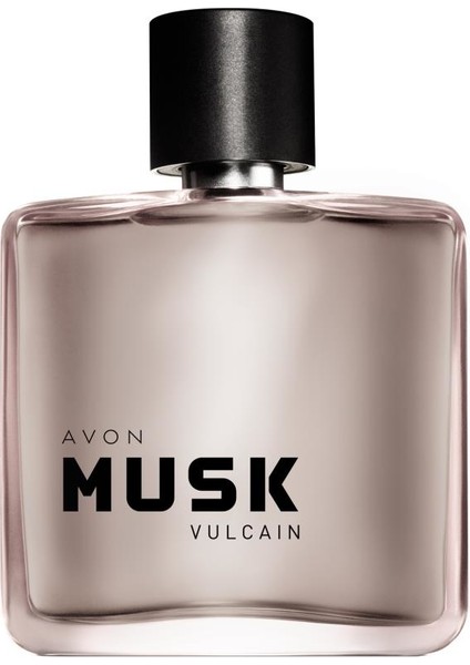 Perceive Simply Because ve Musk Vulcain Erkek Parfüm Paketi
