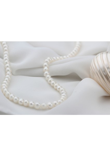 Inci Gümüş Kolye fiyatları