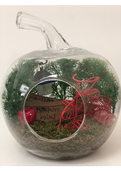 Canım Babam Teraryum