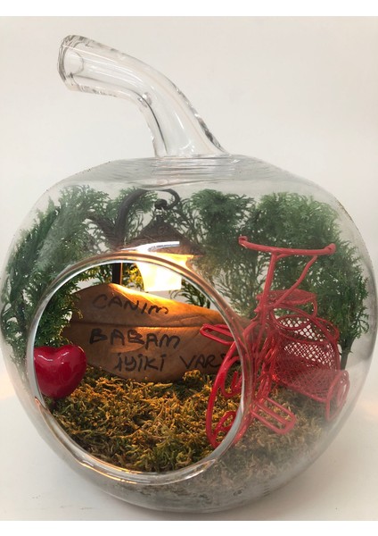 Canım Babam Teraryum fiyatları