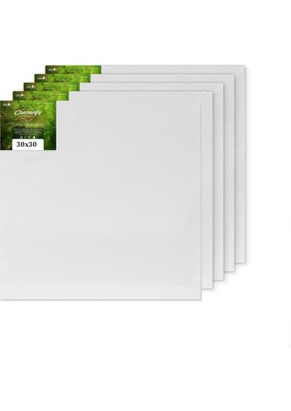 Tuval Ahşap Çerçeve Akrilik Boya Yağlı Boya 30 x 30 cm 5'li