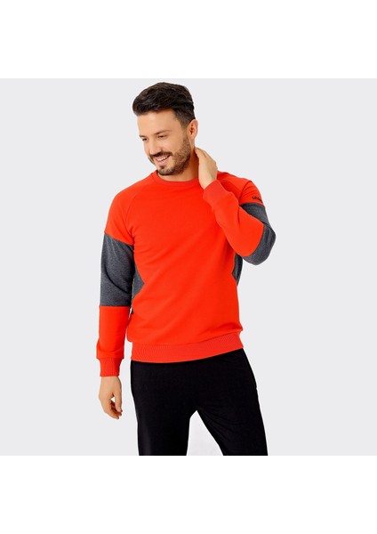 Erkek Sweatshirt Walter fiyatları