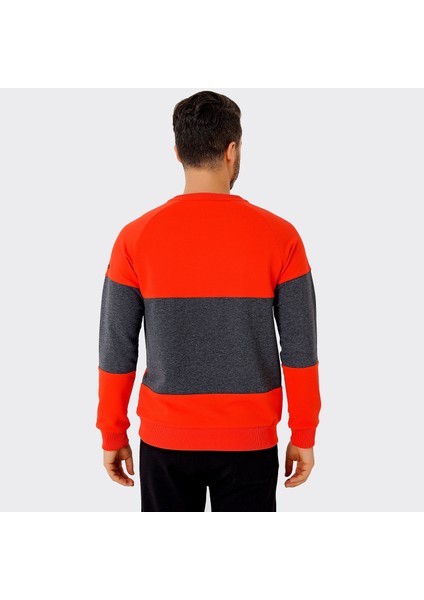 Erkek Sweatshirt Walter fırsatları