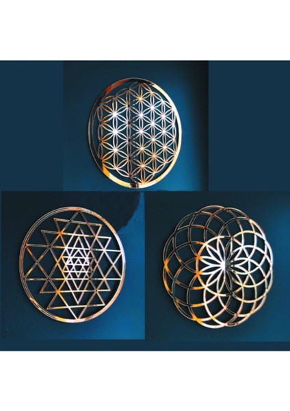 Yaşam Çiçeği Sri Yantra ve Torus 3'lü Set Duvar Tablosu