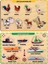 Ahşap Tutmalı Eğitici 2 Adet Yapboz Puzzle Seti 1