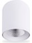 15W 6500K 1350LM Sıva Üstü LED Armatür-Beyaz Işık 1