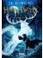 Harry Potter ve Felsefe Taşı - Sırlar Odası - Azkaban Tutsağı - 3 Kitap 4