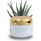 Artexan Aloe Vera Gündüz Kremi