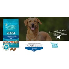 Unique Adult Dog Medıum-Large Sensıtıve Wıth Salmon 3 kg