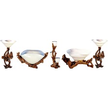 Royal Art Nature Krem Wood Dekoratif Oval Meyvelik