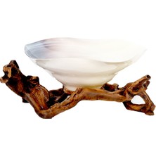 Royal Art Nature Krem Wood Dekoratif Oval Meyvelik