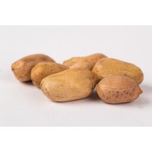 Kardeşler Kuruyemiş Çiğ Fıstık Içi  500 gr