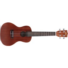 Kala Ka-C Concert Ukulele - Satin Concert Ukulele