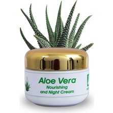 Artexan Aloe Vera Besleyici Gece Kremi