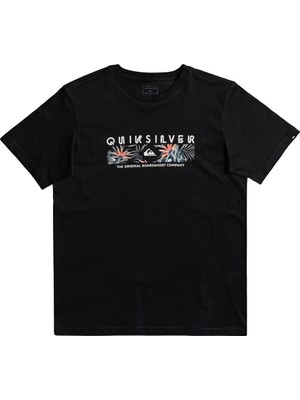 Quiksilver Distant Shores Çocuk T-Shirt EQBZT04320