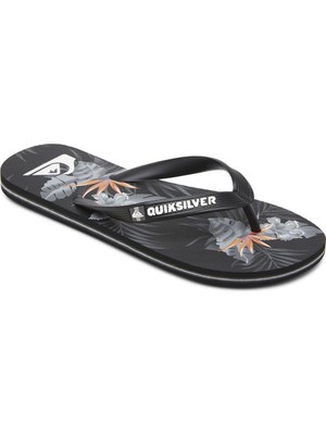 Quiksilver Molokai Everyday Paradise Erkek Sandalet AQYL101188