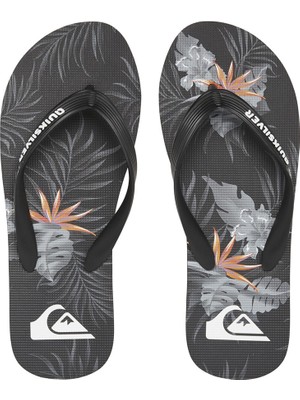 Quiksilver Molokai Everyday Paradise Erkek Sandalet AQYL101188