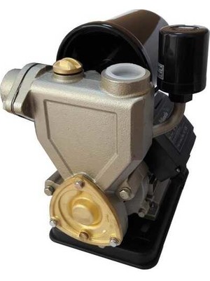 Atlantis Enerji 30M 0.50 Hp 220V Basınç Arttırıcı Güneş Enerji Pompası (Hidrofor)