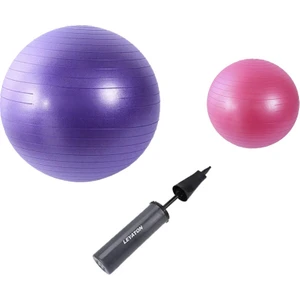 65 cm Mor + 25 cm Pilates Topu 2'li Set