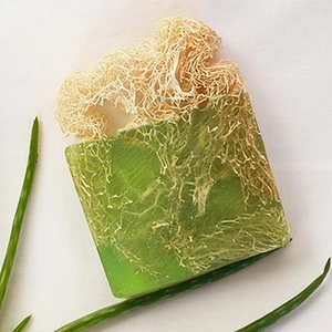 Comes Cosmetic Doğal Kabak Lifli Aloe Vera Sabunu