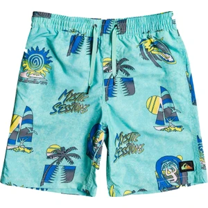 island Pulse 14 Çocuk Volley Short EQBJV03342