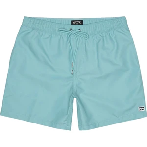 All Day Erkek Volley Short