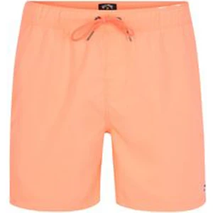 All Day Erkek Volley Short
