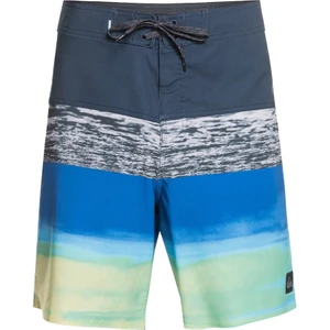 Surfsilk Panel 18 Erkek Boardshort EQYBS04584