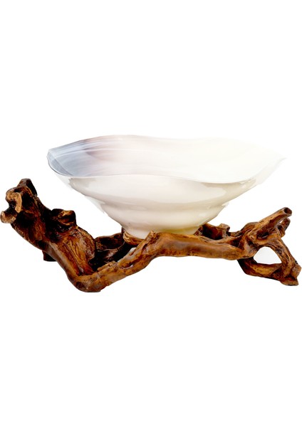 Nature Krem Wood Dekoratif Oval Meyvelik