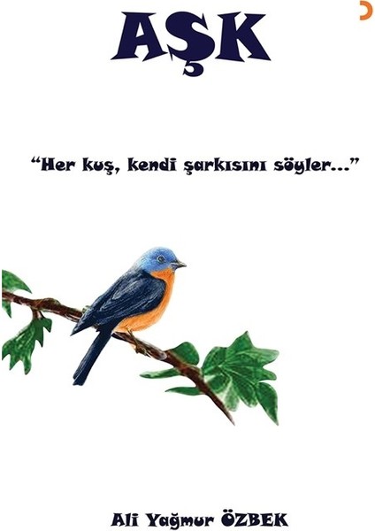 Aşk - Ali Yağmur Özbek