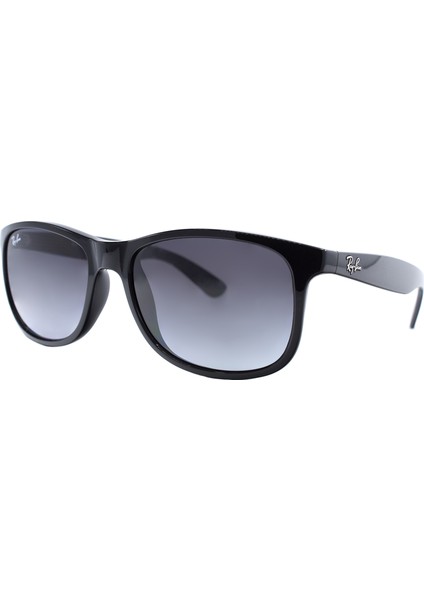 4202 601/8G 55-17 Erkek Güneş Gözlüğü fiyatları