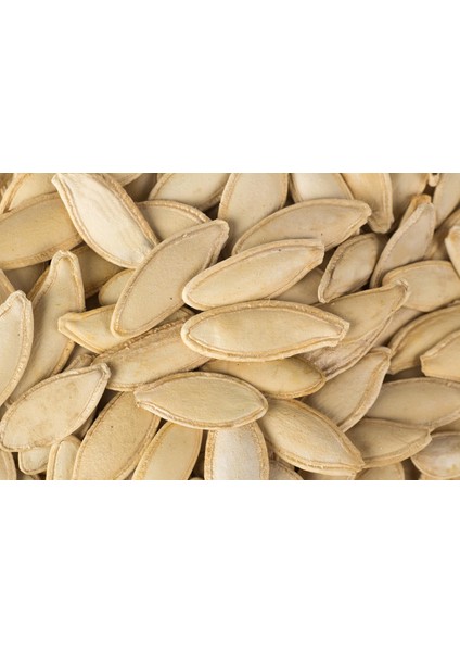 Tuzsuz Kabak Çekirdeği (Kavrulmuş) 250 gr fiyatları