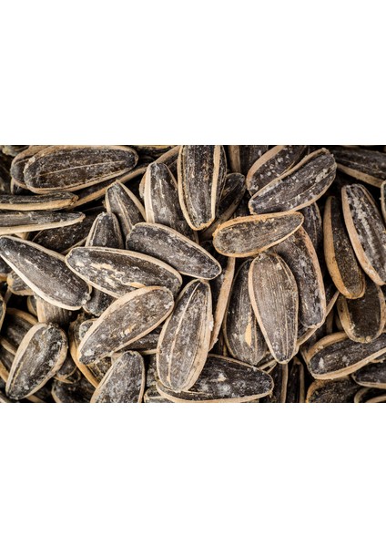 Siyah Tuzlu Çiğdem (Çekirdek) 250 gr fiyatları