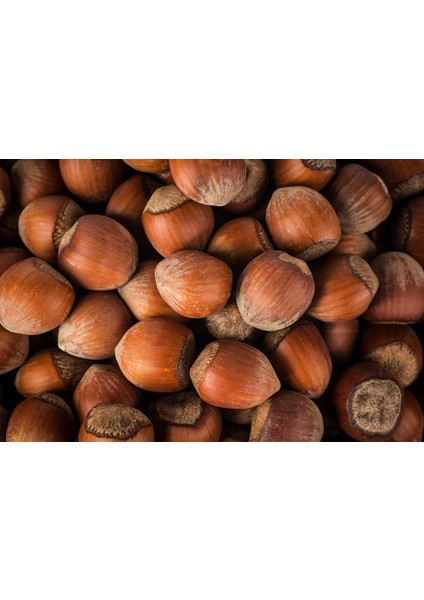 Kabuklu Fındık 500 gr fiyatları