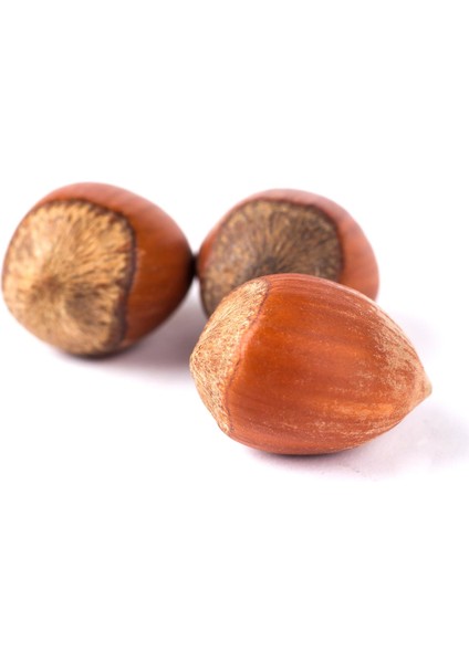 Kabuklu Fındık 500 gr modelleri