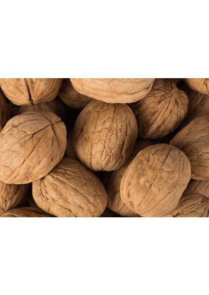Ince Kabuklu Ceviz 500 gr fiyatları