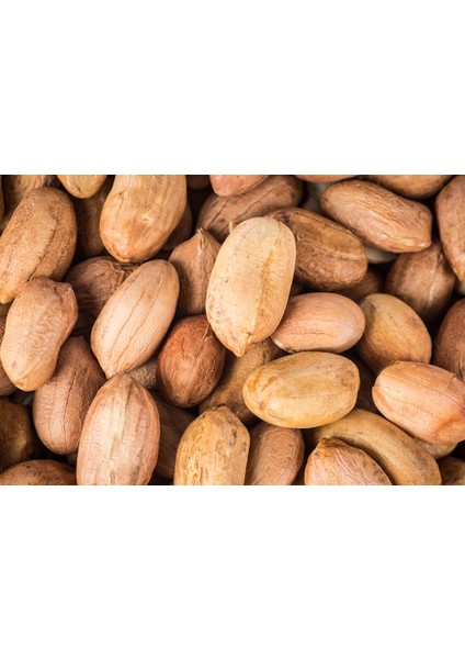 Çiğ Fıstık Içi 500 gr fiyatları