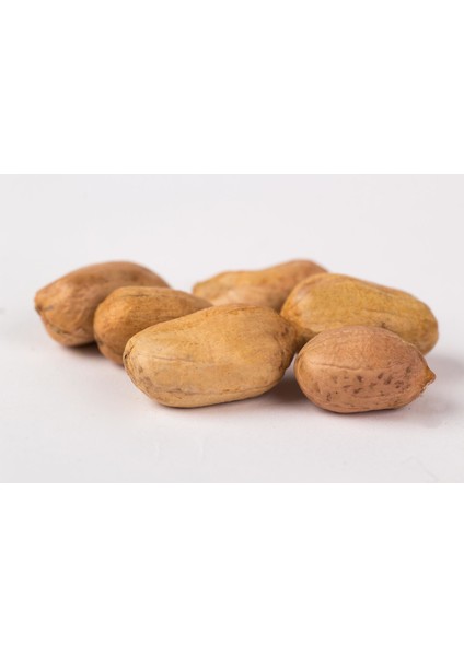 Çiğ Fıstık Içi 500 gr modelleri