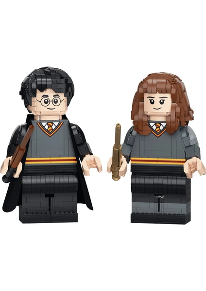 Harry Potter 76393 Harry Potter & Hermione Granger™