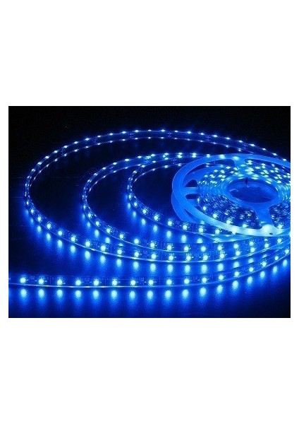 5050 Şerit LED 12V 1A 60 LED 3 Çip Silikonsuz Mavi 5 Metre Şerit LED