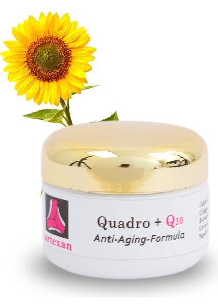 Quadro+ Q10 Krem
